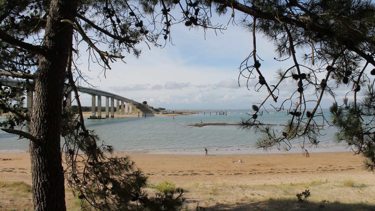 Ningle & Run - La Barre-de-Monts