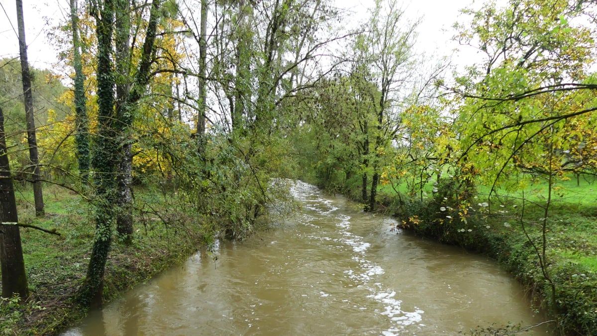 Cross-Triathlon & Swimrun de Chantonnay - Chantonnay