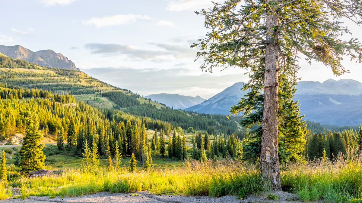 Hardrock 100