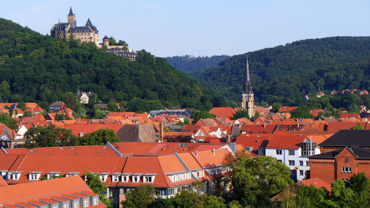 Harz-Gebirgslauf