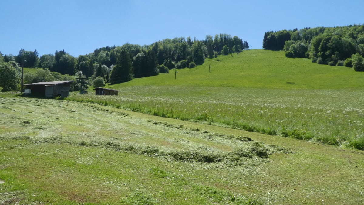 Val Foncine Trail