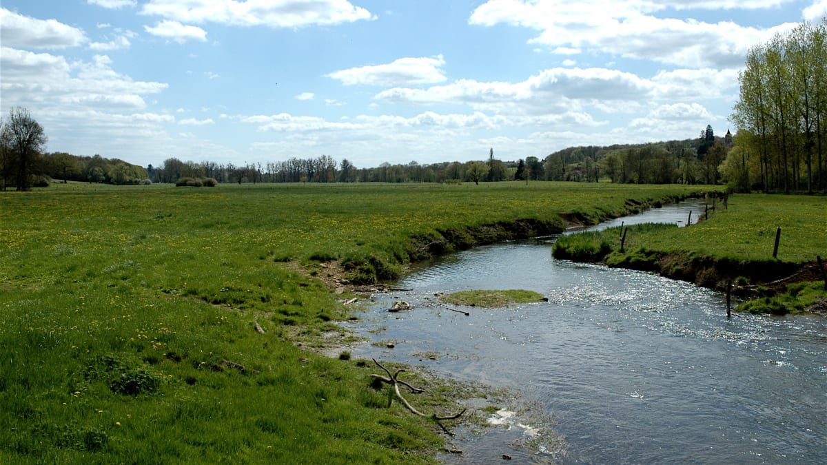 Trans'Lupéenne
