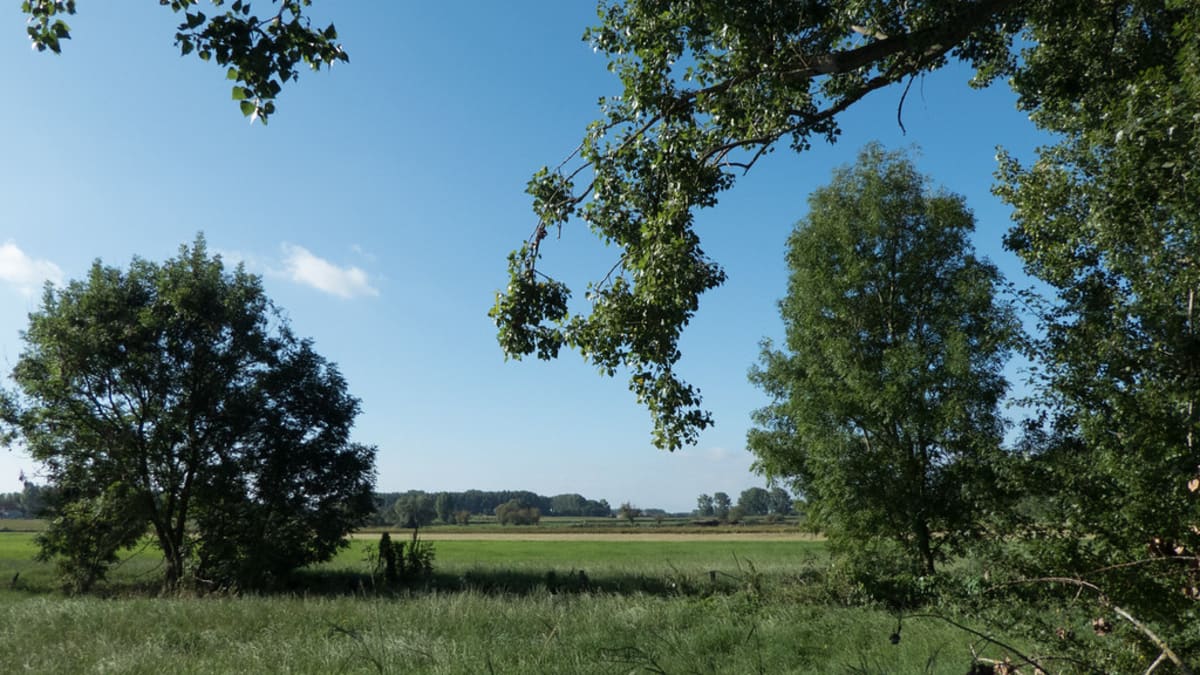 Farm Trail