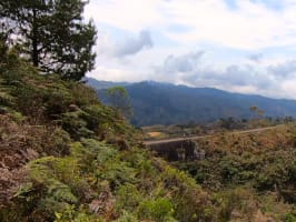 SoliMada Trail