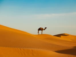 Sahara Desert Trail Morocco