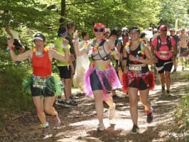 Les Forges de la Forêt d'Anlier