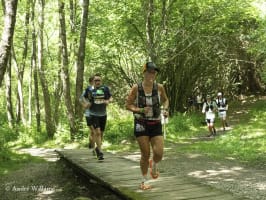 Les Forges de la Forêt d'Anlier