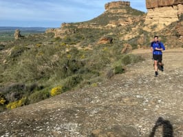 Trail de Los Torrollones 