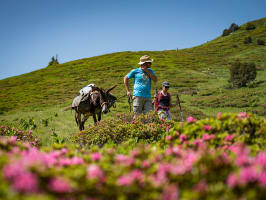 Grand Duc-Trail de Chartreuse