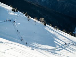 les lumières de la Muzelle