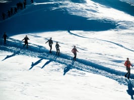 les lumières de la Muzelle