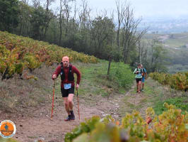 Tour des Crus du Beaujolais