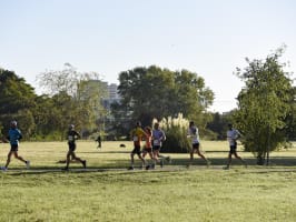 Marathon, 10 et 20 km de Tours 