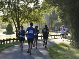 Marathon, 10 et 20 km de Tours 