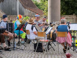 Marathon du Vignoble d'Alsace