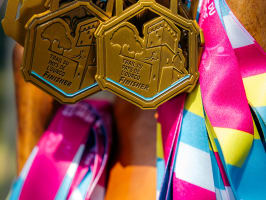 Trail du Pays de l'Ourcq