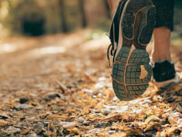 Endurance Backyard 95