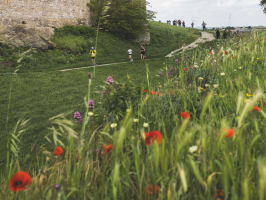Trail des Remparts de Carcassonne