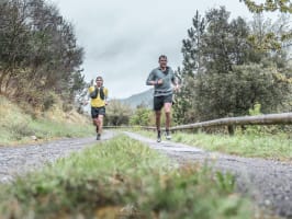 Trail des Terrasses du Lodèvois