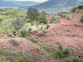 Trail des Terrasses du Lodèvois