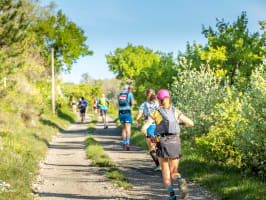 Trail du Berger