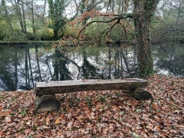 Les Foulées du Montreteau