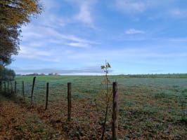 Les Foulées du Montreteau