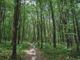 Sillé Backyard Loop