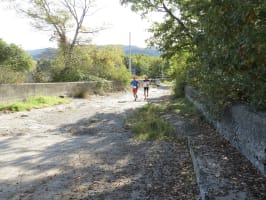 Le Trail des Cathelières