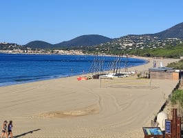 Canicross du Golfe de Saint-Tropez