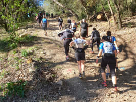 Trail de la Tour du Faucon