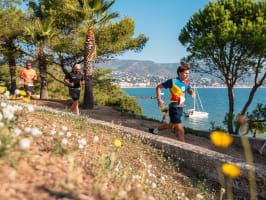 T24 - Bormes-les-Mimosas