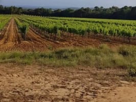 La Foulée Jean-Henri Fabre