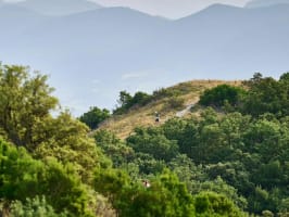 Traversée des Dentelles 