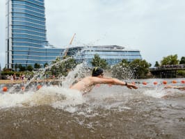 mol campus bay swimming