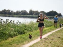 Semi-Marathon de Comacchio