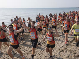 Venice Lido Beach Trail