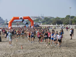 Venice Lido Beach Trail