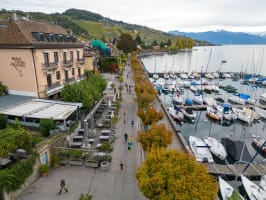 Marathon de Lausanne