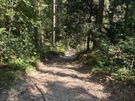 Foulée des Monts d'Ain