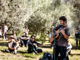 Frantoi Aperti in Umbria