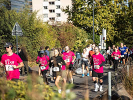10 km de Fontenay