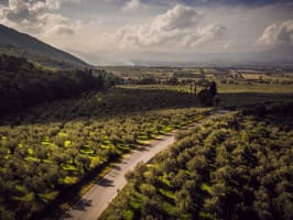 Frantoi Aperti in Umbria