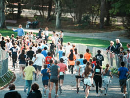 Reims Champagne Run