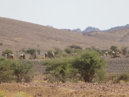 Trail Acacia M'ssici