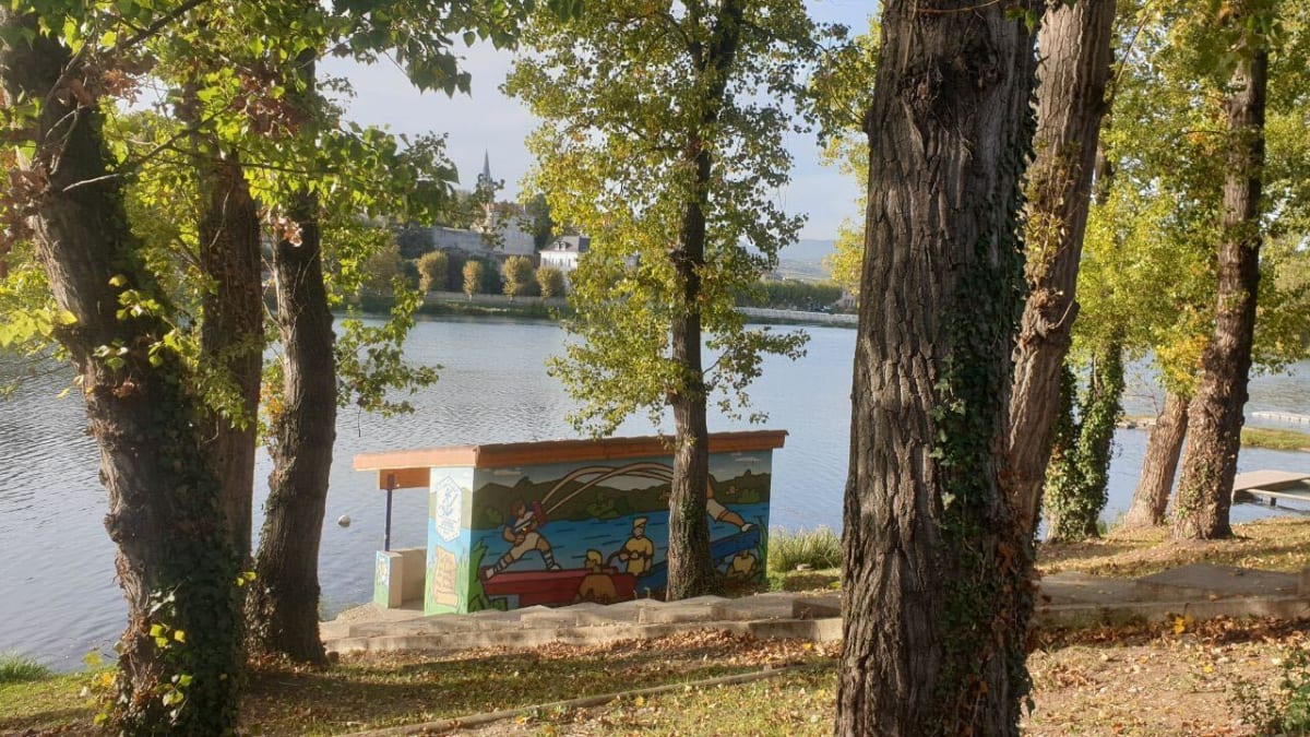 Photo 8