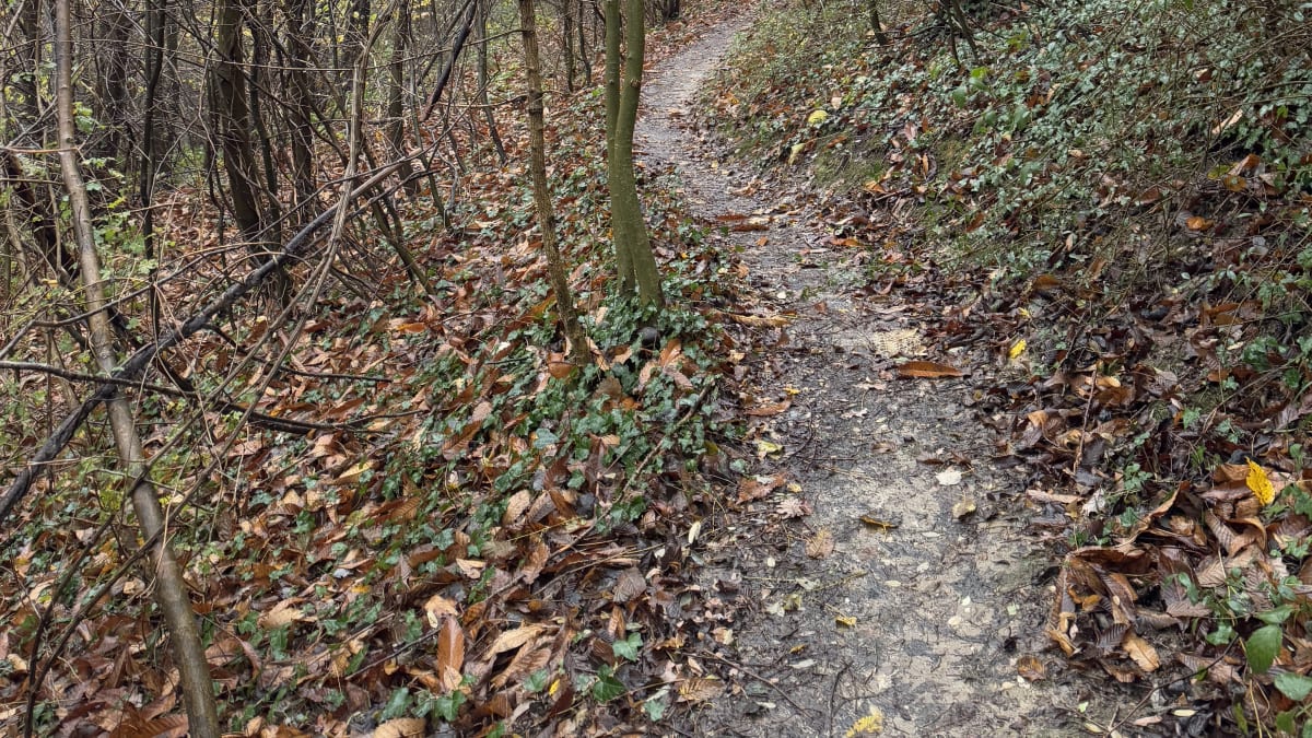 Photo 2