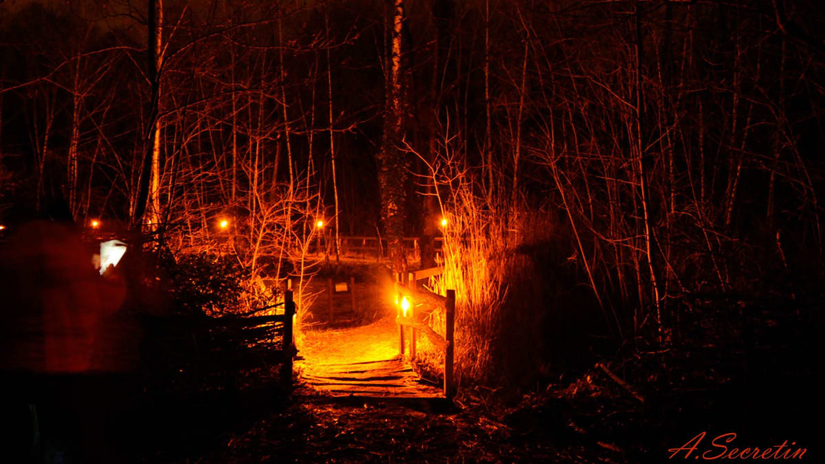Photo 4