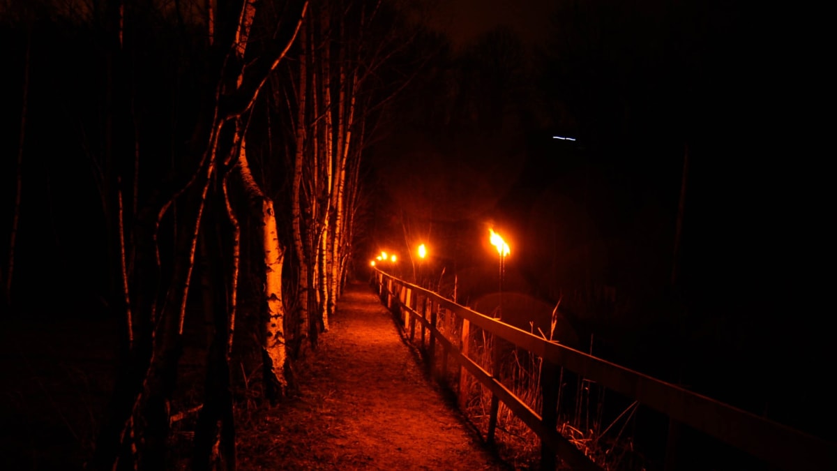Photo 3