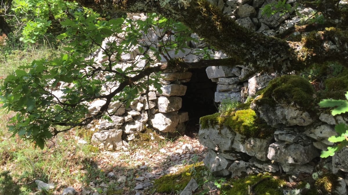 Photo 7
